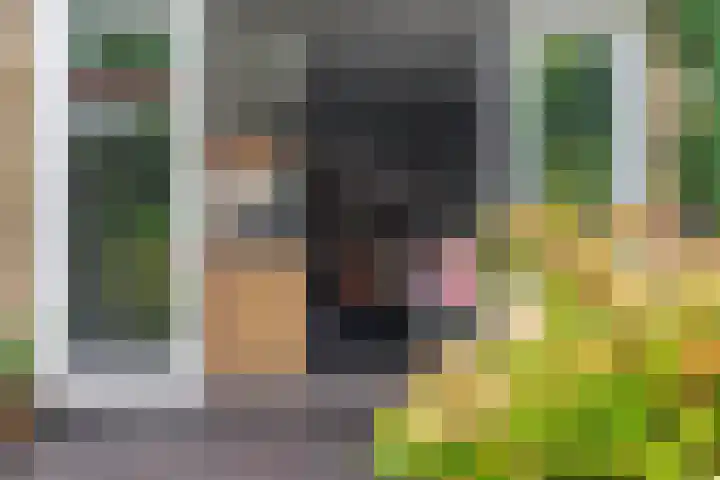 Goudreinet 9 Dodewaard thumbnail 56