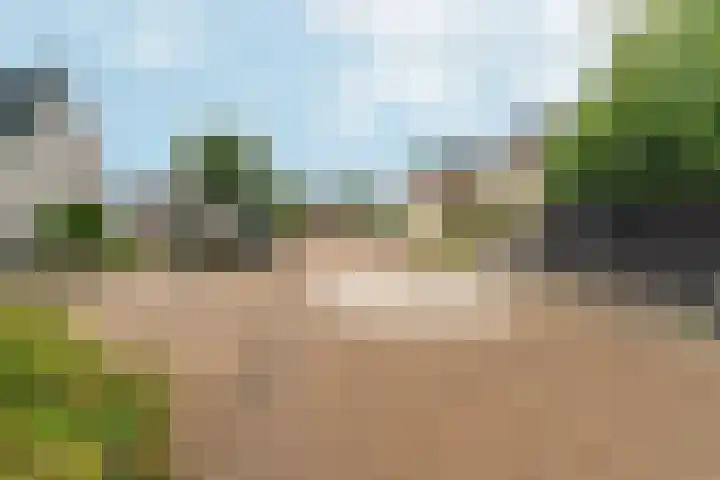 Goudreinet 9 Dodewaard thumbnail 57