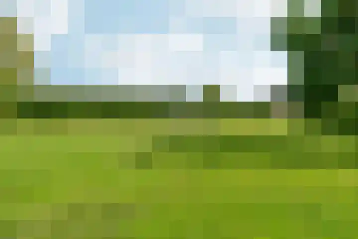Goudreinet 9 Dodewaard thumbnail 61