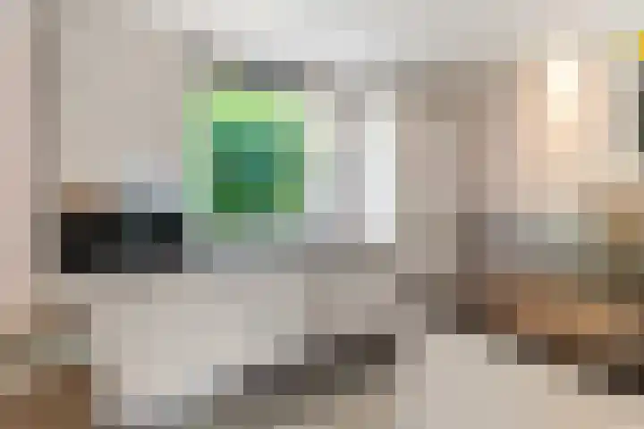Goudreinetgaard 3 Arnhem thumbnail 17