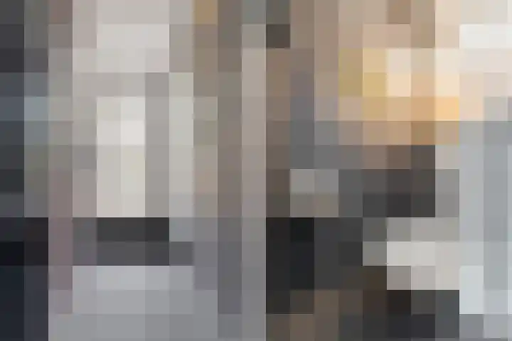 Goudreinetgaard 3 Arnhem thumbnail 21