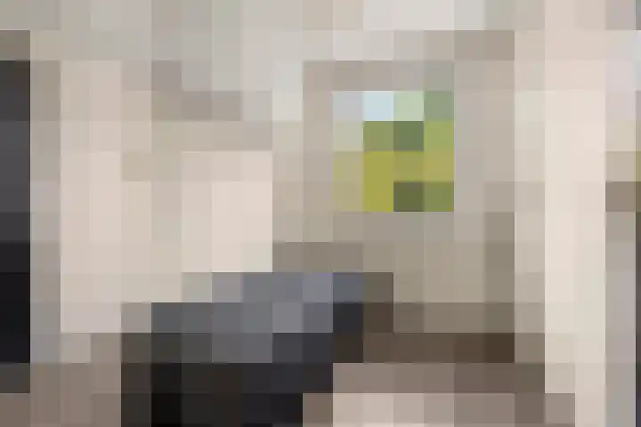Goudreinetgaard 3 Arnhem thumbnail 23