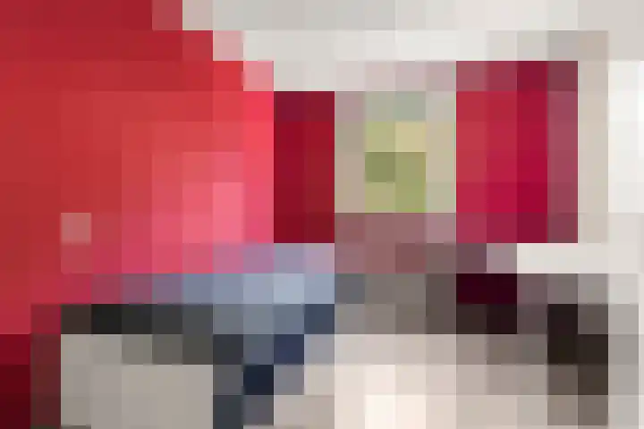 Goudreinetgaard 3 Arnhem thumbnail 25