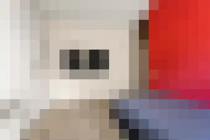 Goudreinetgaard 3 Arnhem thumbnail 26