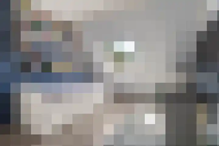 Goudreinetgaard 3 Arnhem thumbnail 27