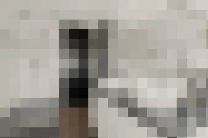 Goudreinetgaard 3 Arnhem thumbnail 31