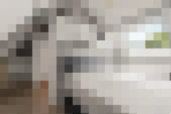 Goudreinetgaard 3 Arnhem thumbnail 33