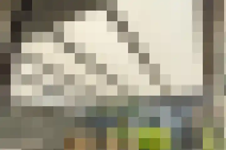 Goudreinetgaard 3 Arnhem thumbnail 37