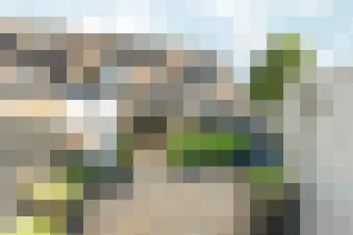 Goudreinetgaard 3 Arnhem thumbnail 40
