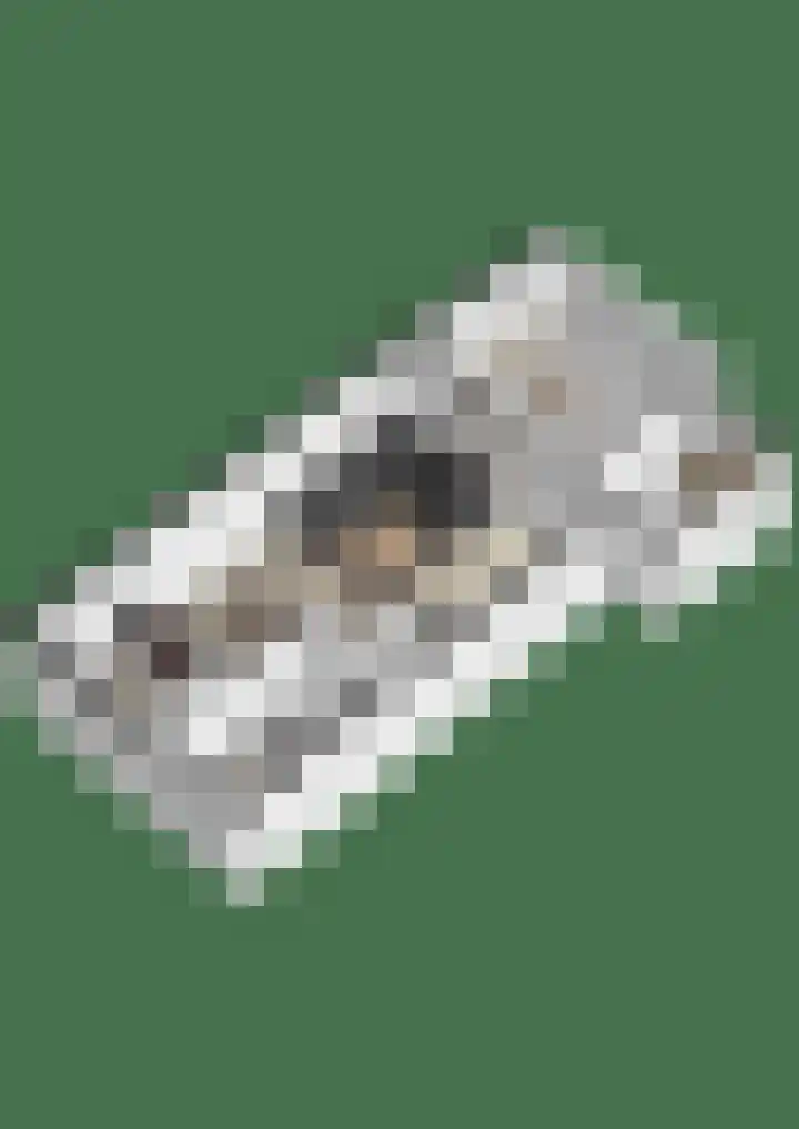 Goudreinetgaard 3 Arnhem thumbnail 46