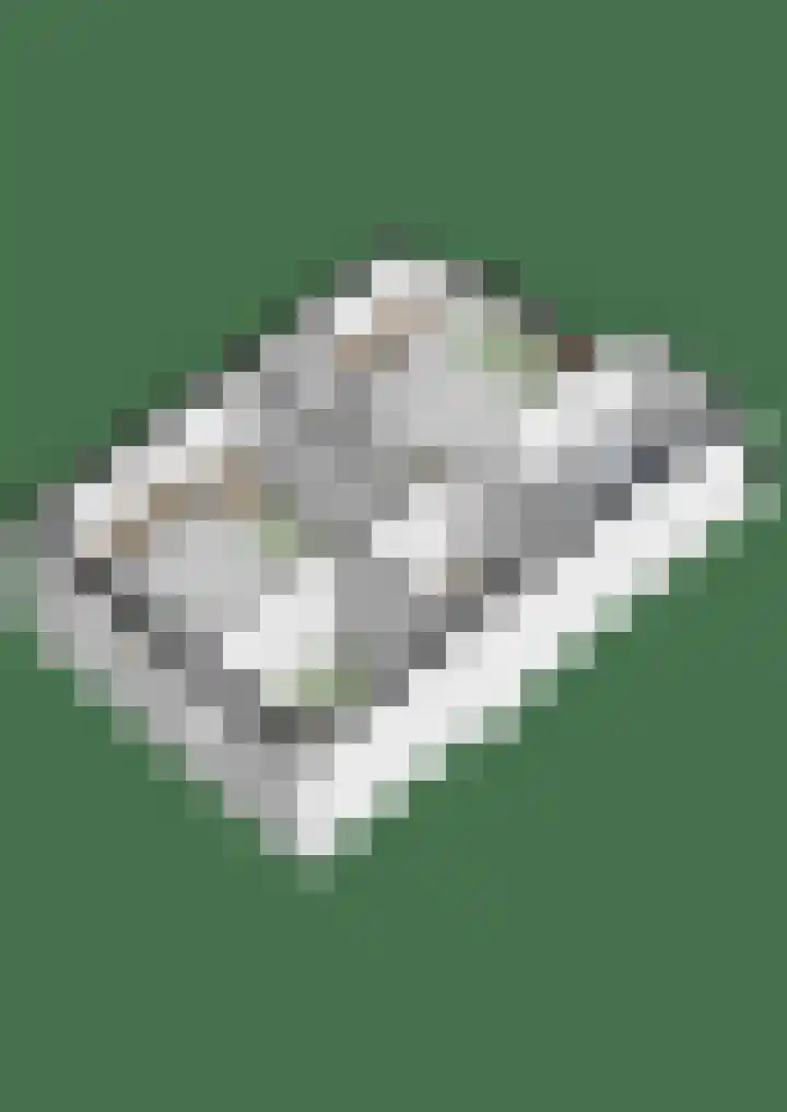 Goudreinetgaard 3 Arnhem thumbnail 49