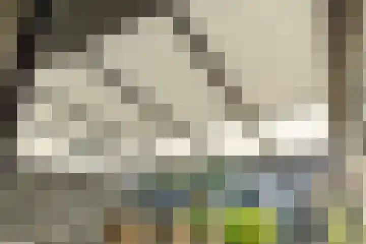 Goudreinetgaard 3 Arnhem thumbnail 5