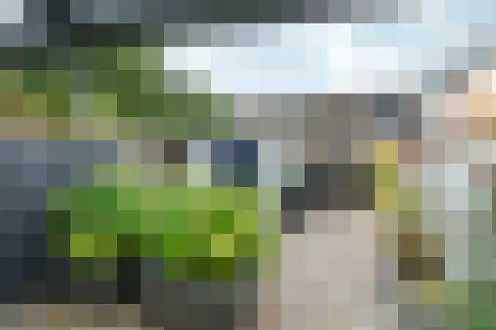 Goudreinetgaard 3 Arnhem thumbnail 6