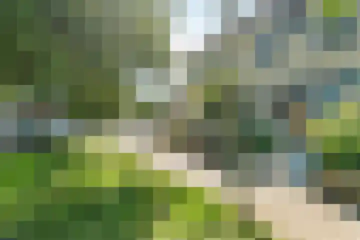 Goudreinetgaard 3 Arnhem thumbnail 7