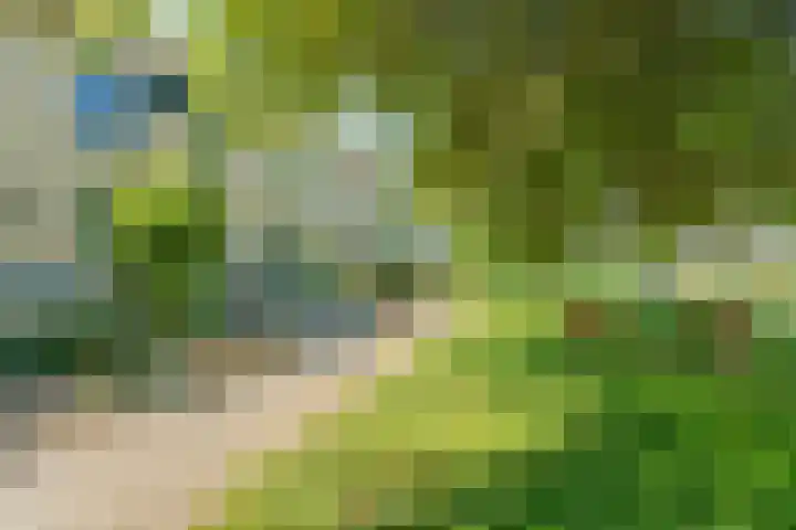 Goudreinetgaard 3 Arnhem thumbnail 8