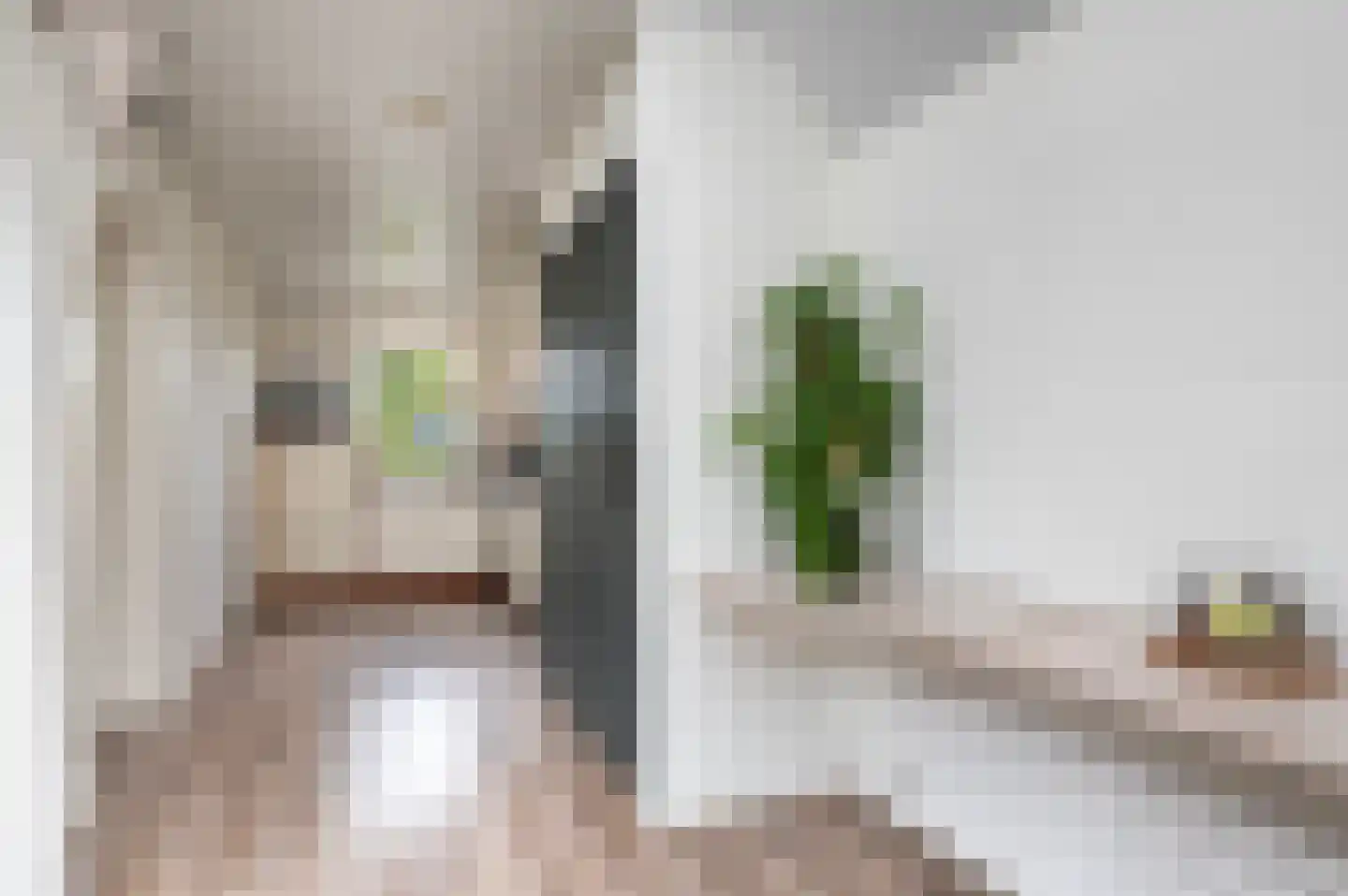 Goudreinetlaan 11 Blokker thumbnail 11
