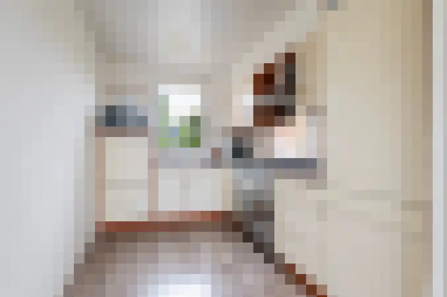 Goudreinetlaan 11 Blokker thumbnail 12