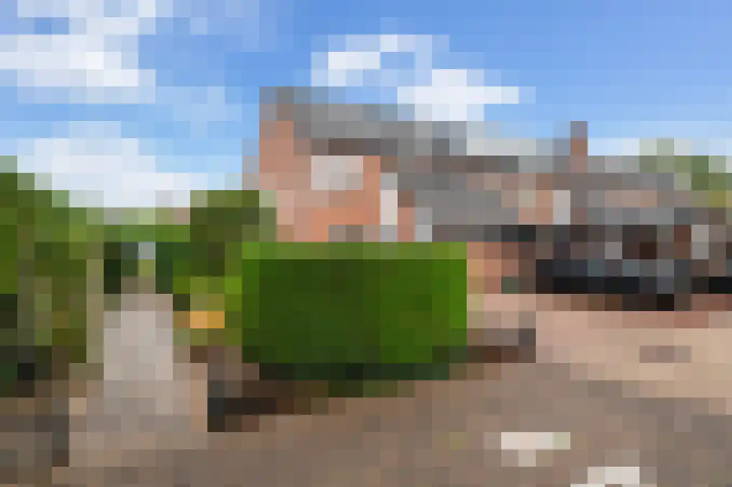 Goudreinetlaan 11 Blokker foto 2