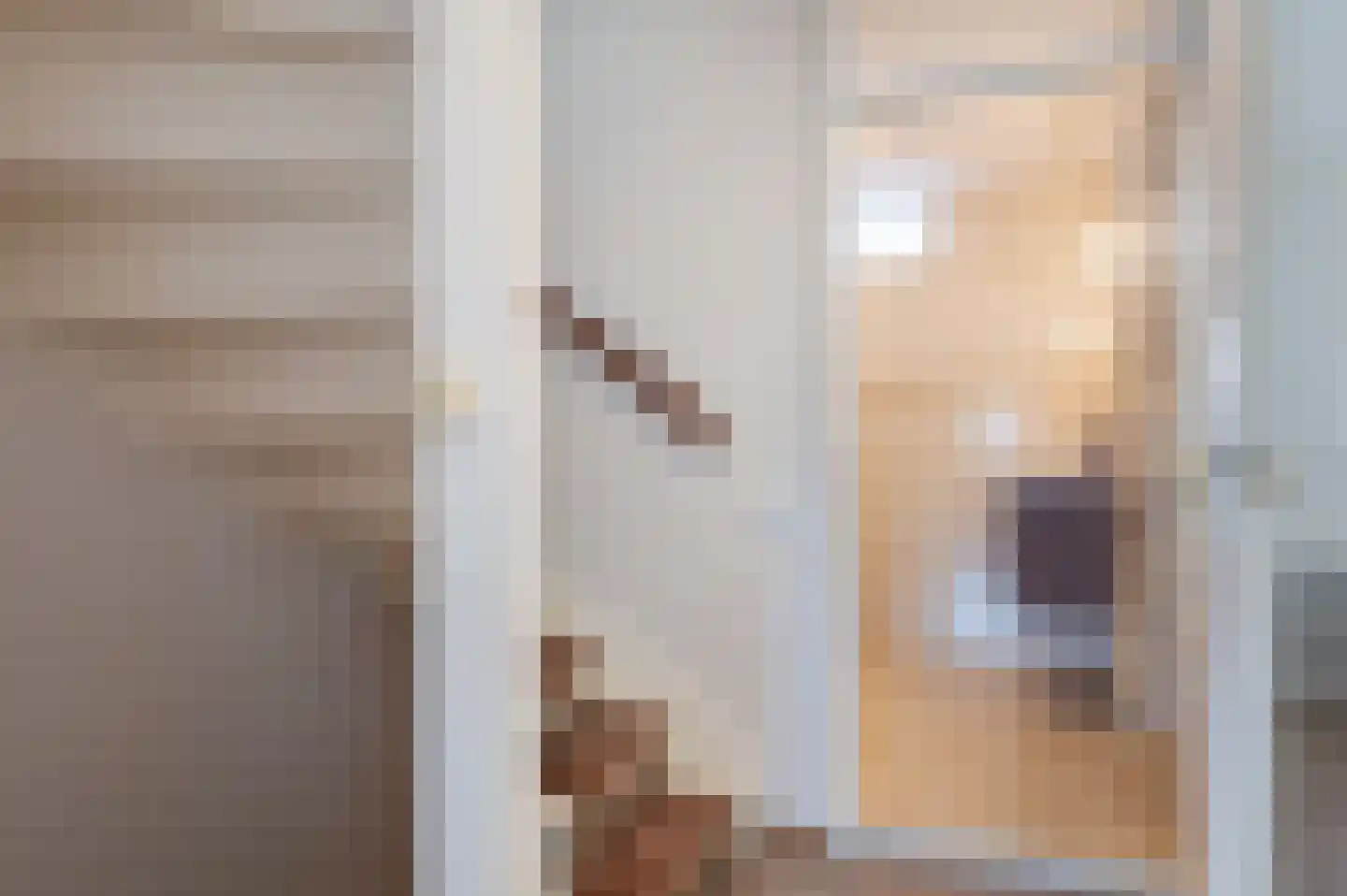 Goudreinetlaan 11 Blokker thumbnail 22