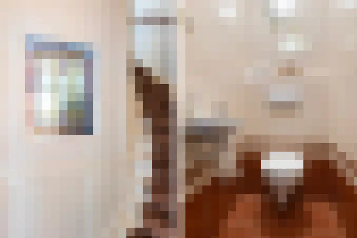 Goudreinetlaan 11 Blokker thumbnail 27
