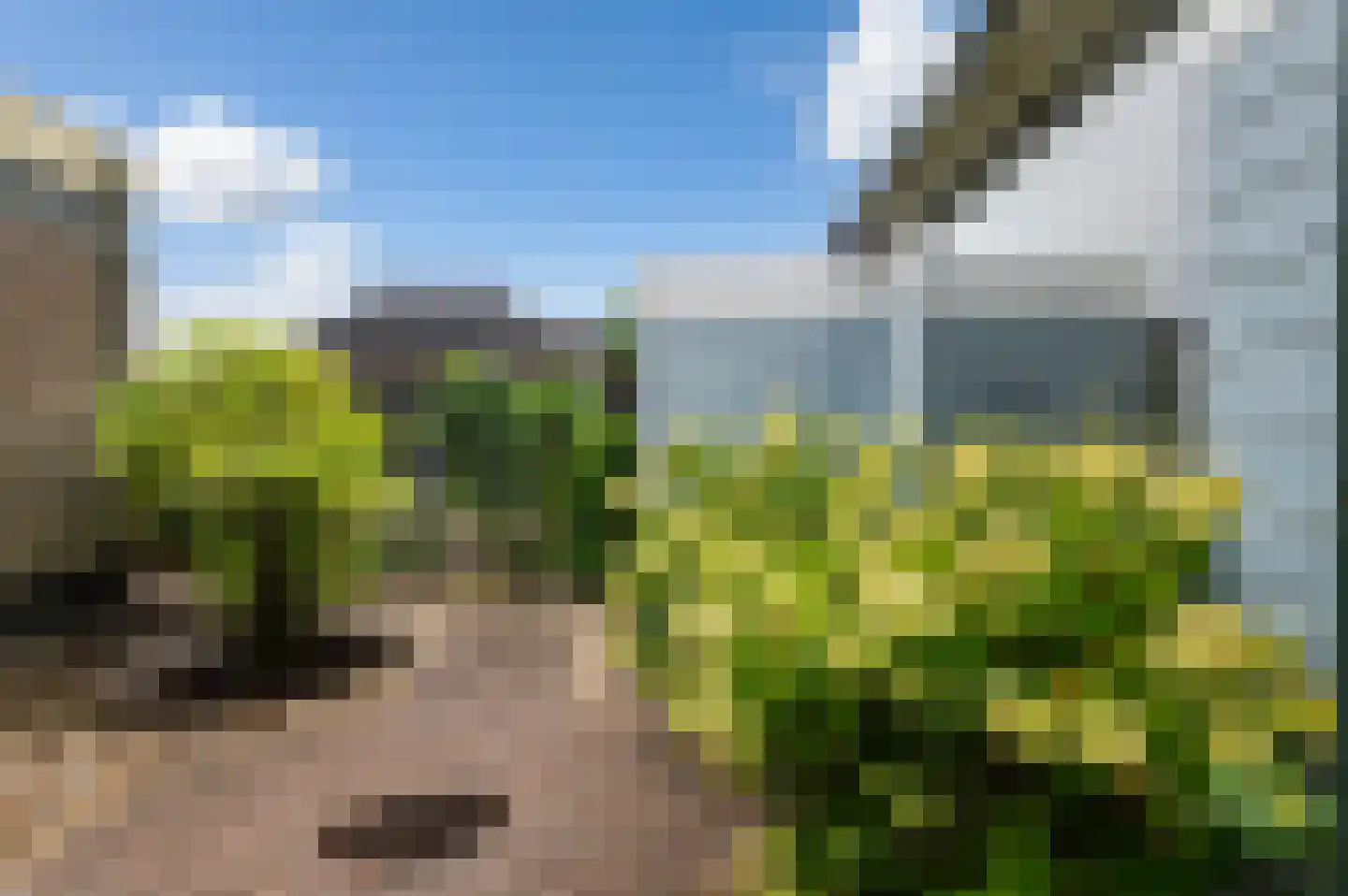 Goudreinetlaan 11 Blokker thumbnail 31