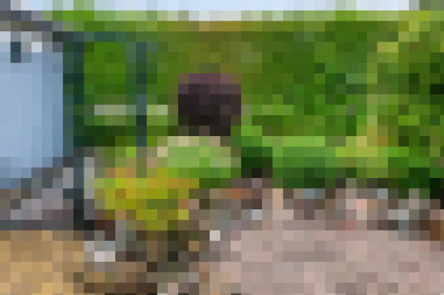 Goudreinetlaan 11 Blokker thumbnail 34