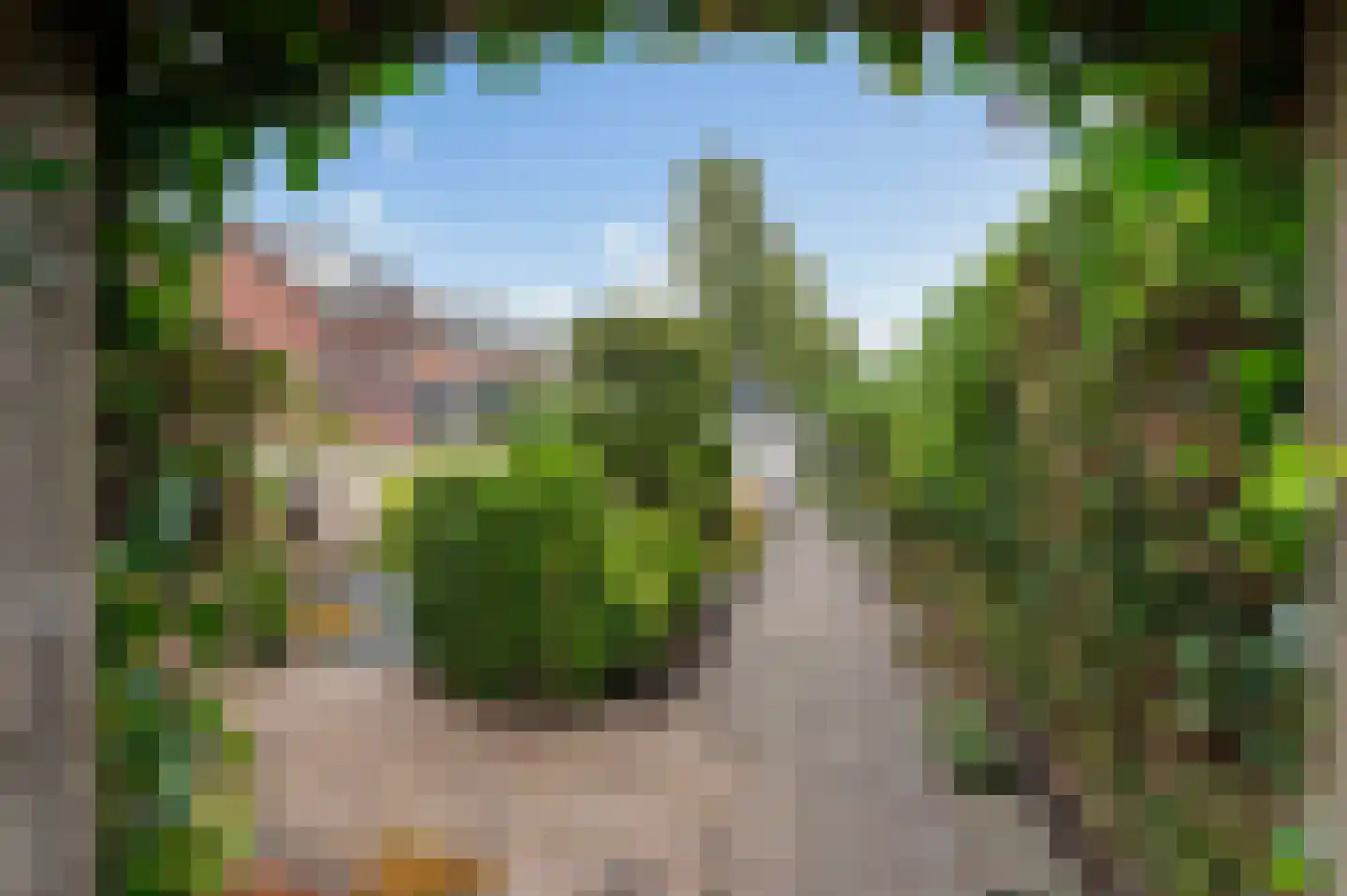 Goudreinetlaan 11 Blokker thumbnail 35