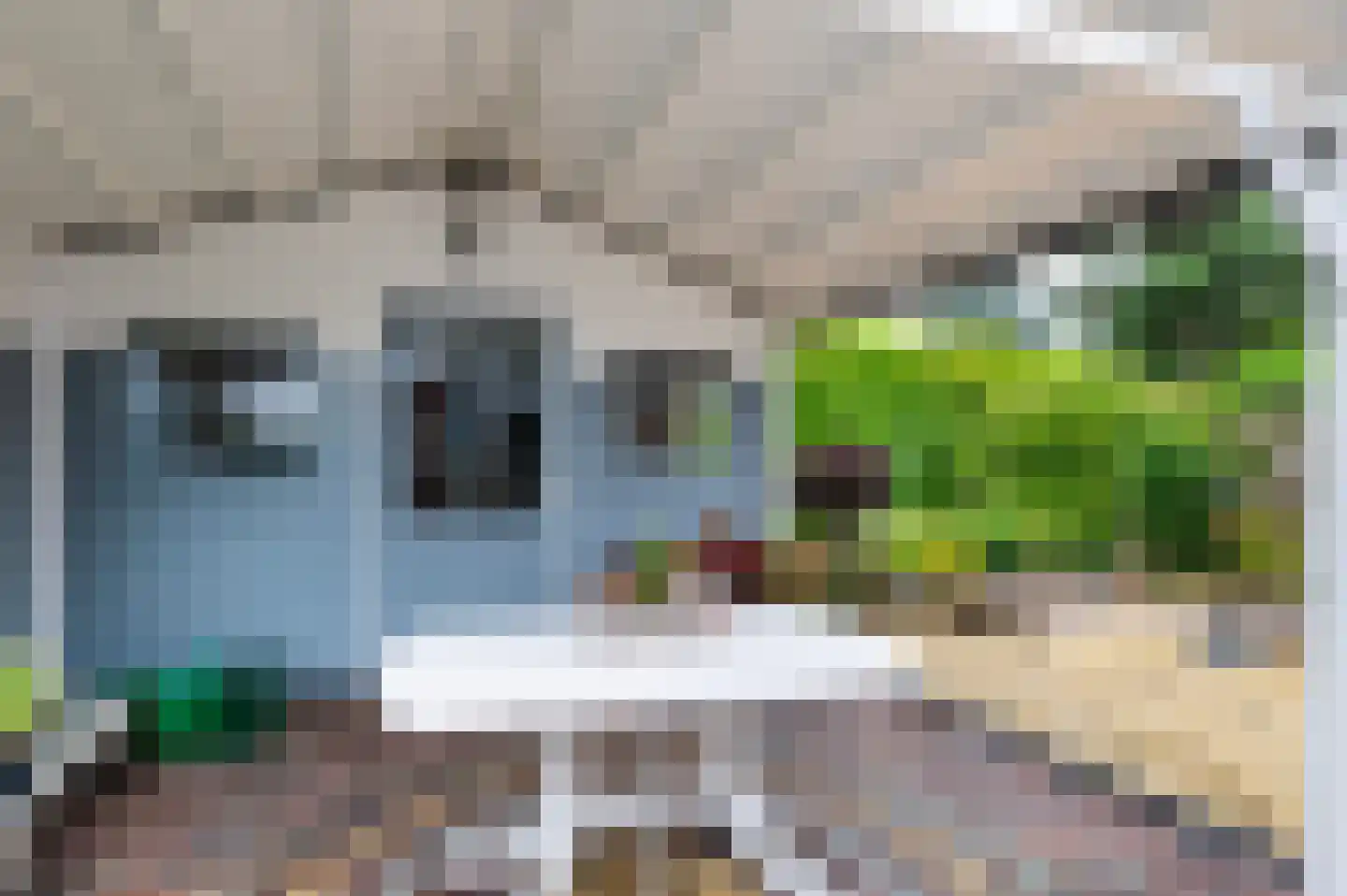 Goudreinetlaan 11 Blokker thumbnail 38