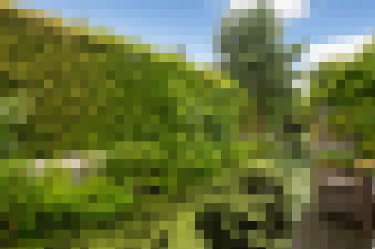 Goudreinetlaan 11 Blokker thumbnail 39