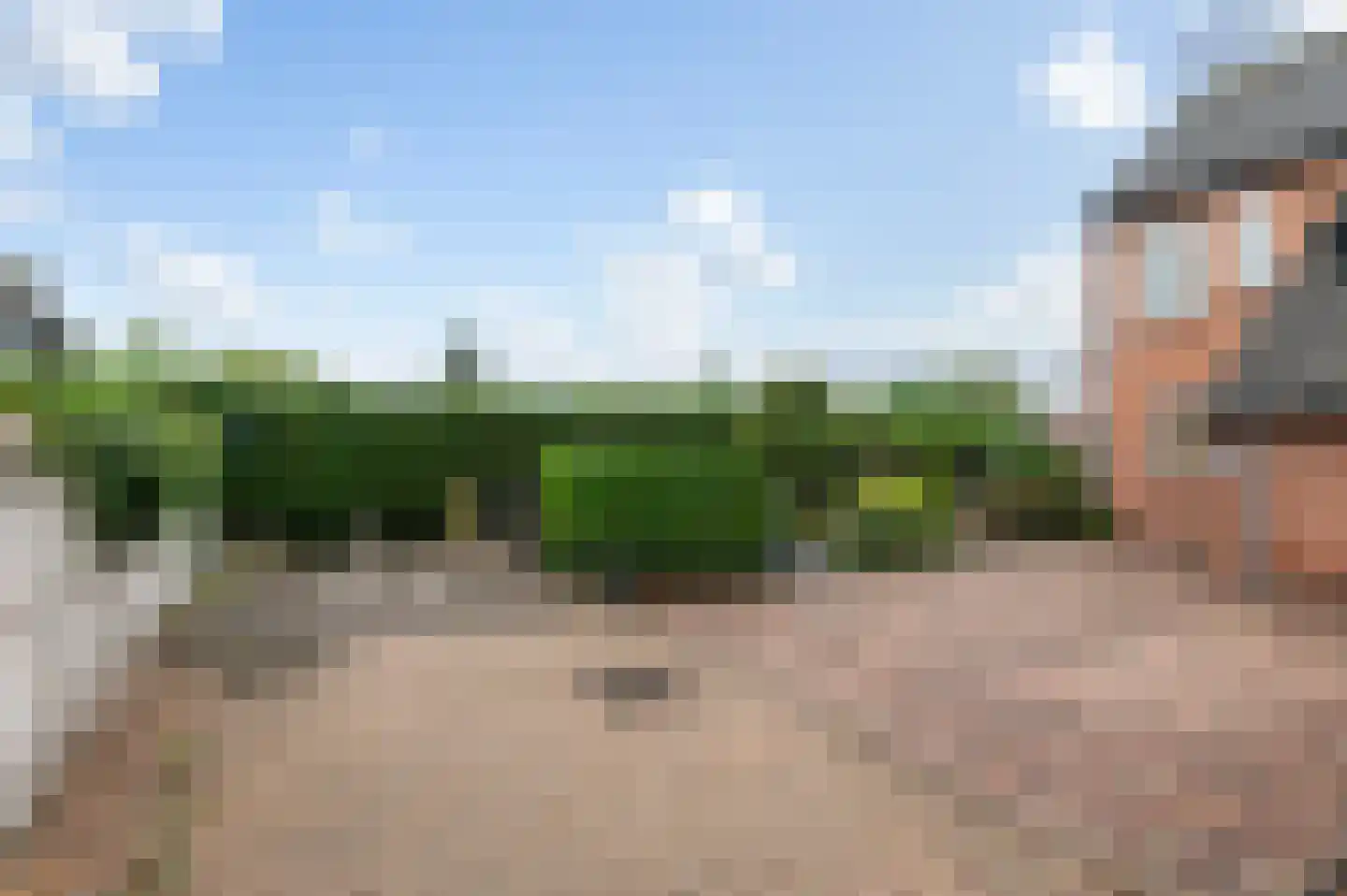 Goudreinetlaan 11 Blokker thumbnail 44