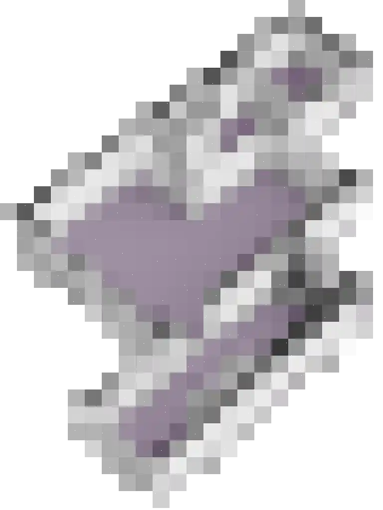 Goudreinetlaan 11 Blokker thumbnail 46