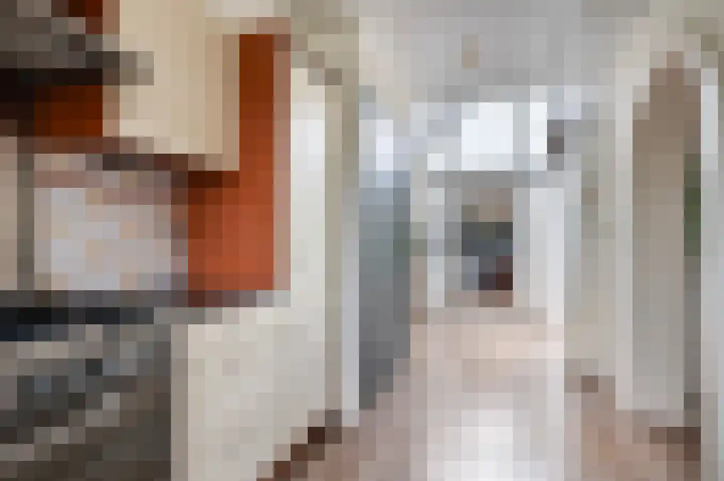 Goudreinetlaan 11 Blokker thumbnail 9