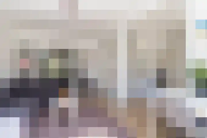 Goudreinetstraat 492 in Den Haag