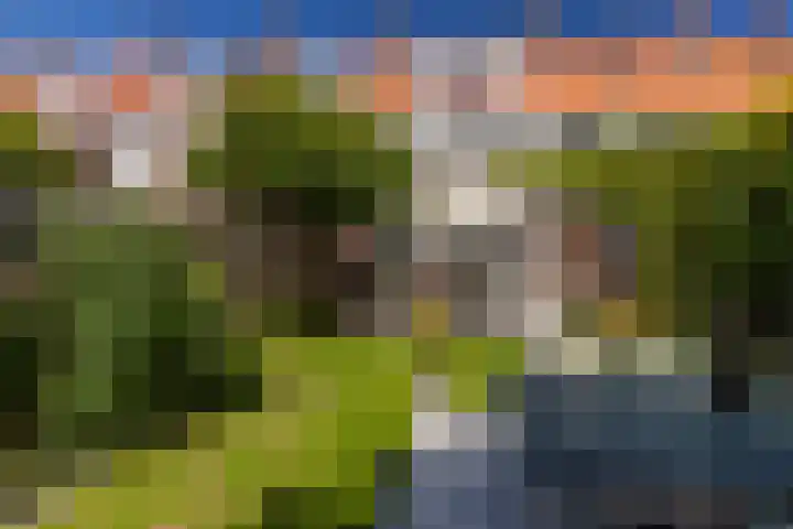 Goudreinetstraat 574 in Den Haag