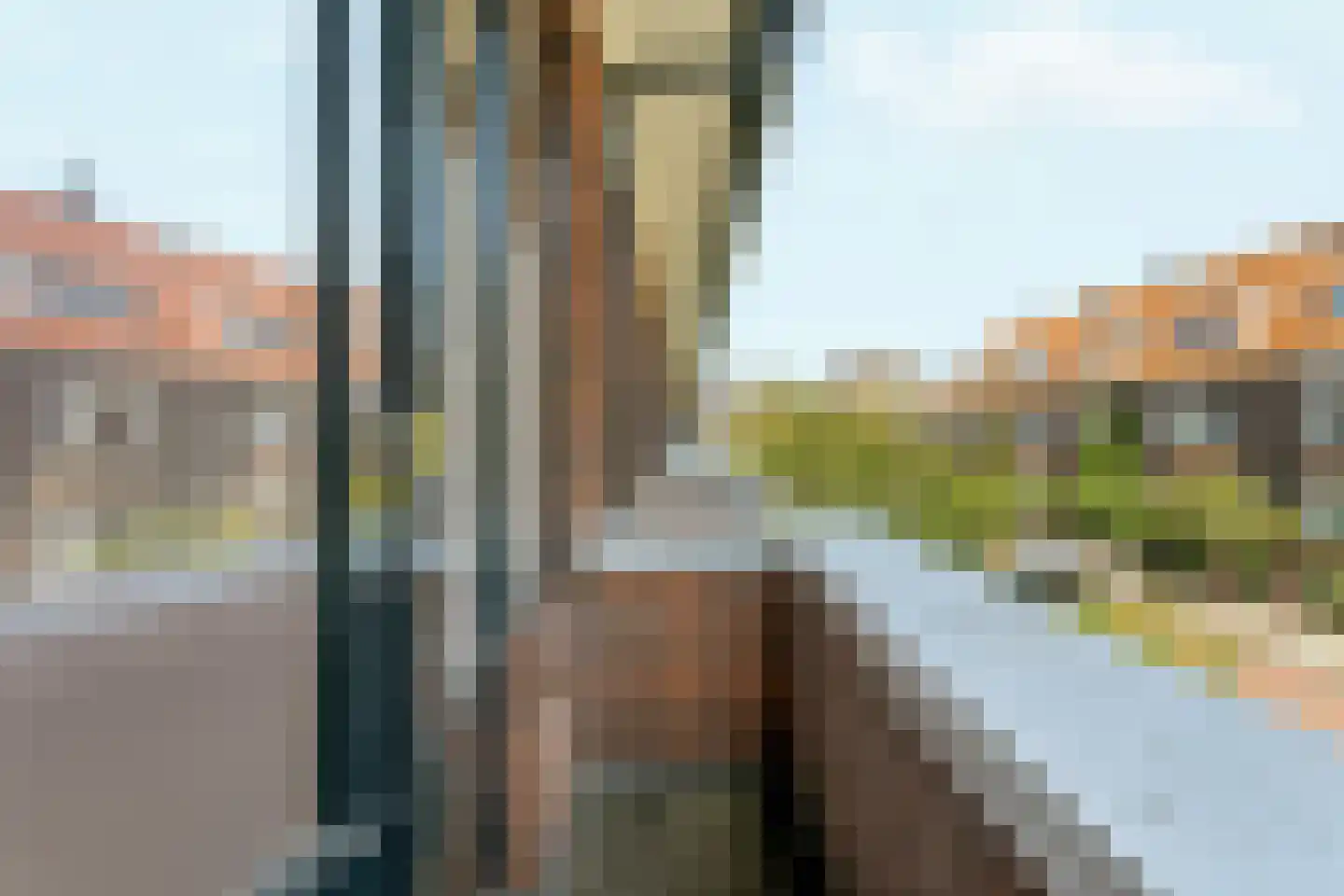 Goudreinetstraat 580 Den Haag thumbnail 54