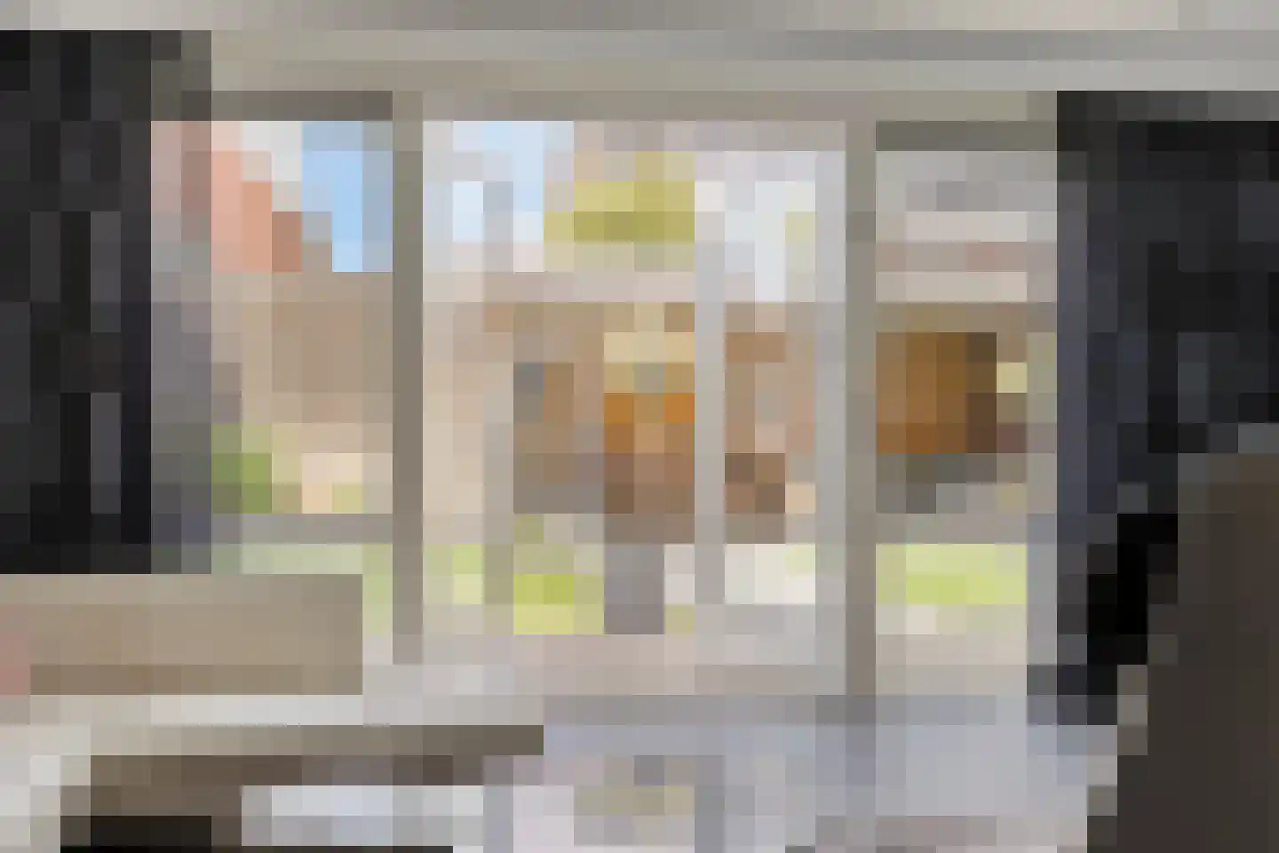 Goudreinette 11 Lith thumbnail 10