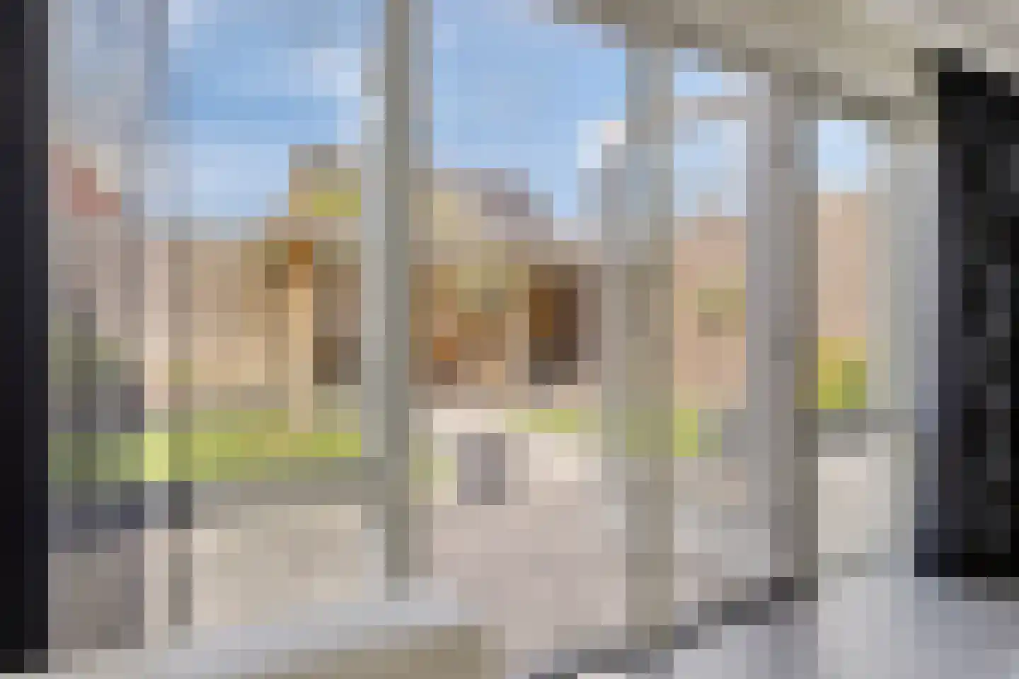 Goudreinette 11 Lith thumbnail 11