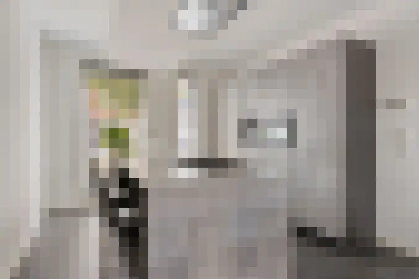 Goudreinette 11 Lith thumbnail 14