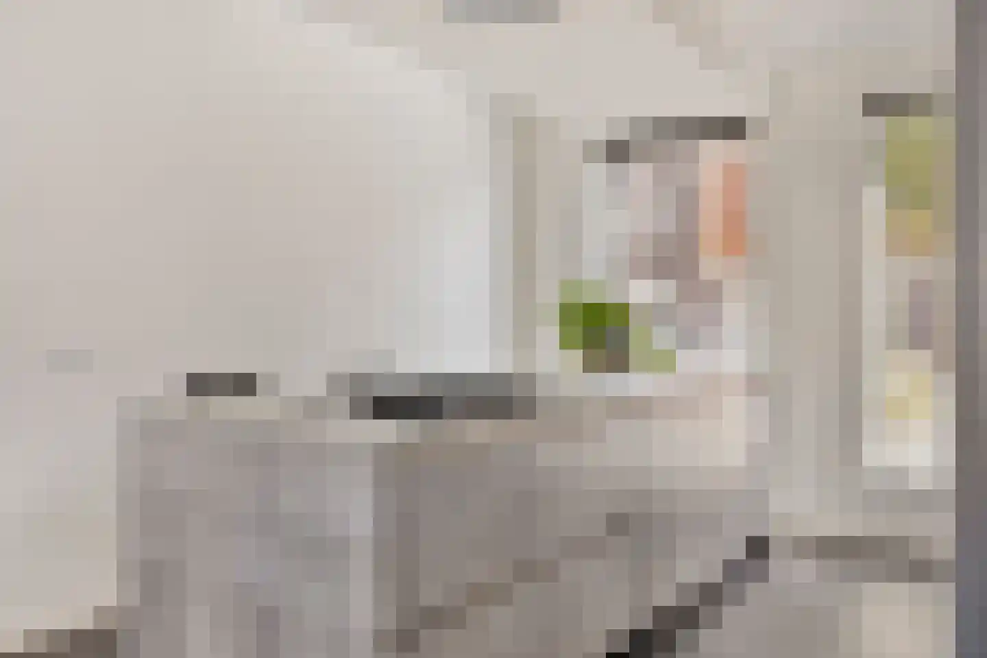 Goudreinette 11 Lith thumbnail 15