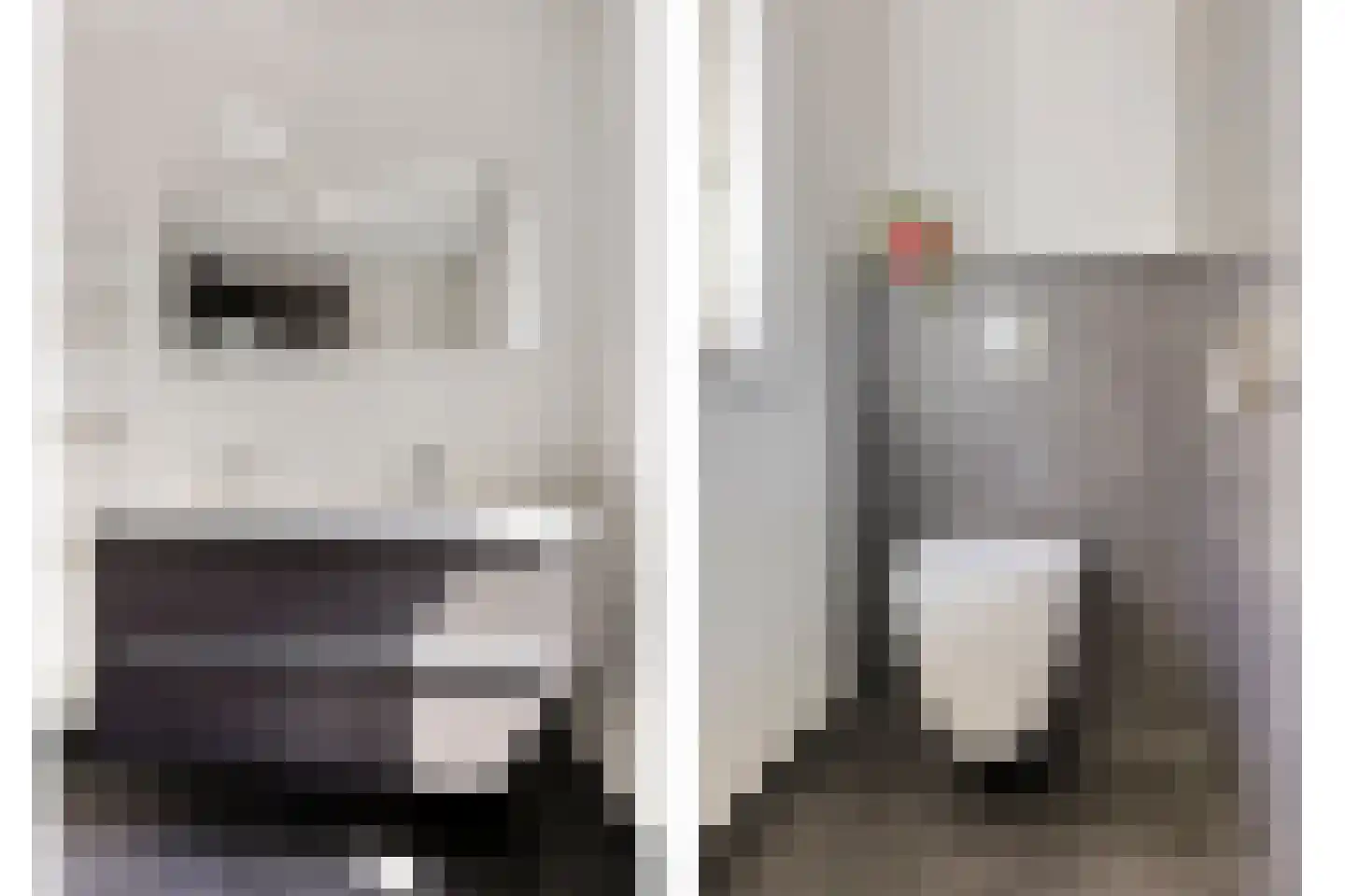Goudreinette 11 Lith thumbnail 24