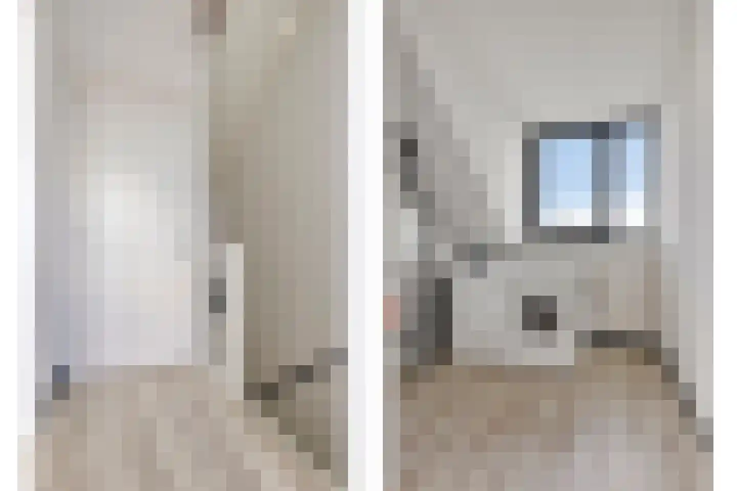 Goudreinette 11 Lith thumbnail 29