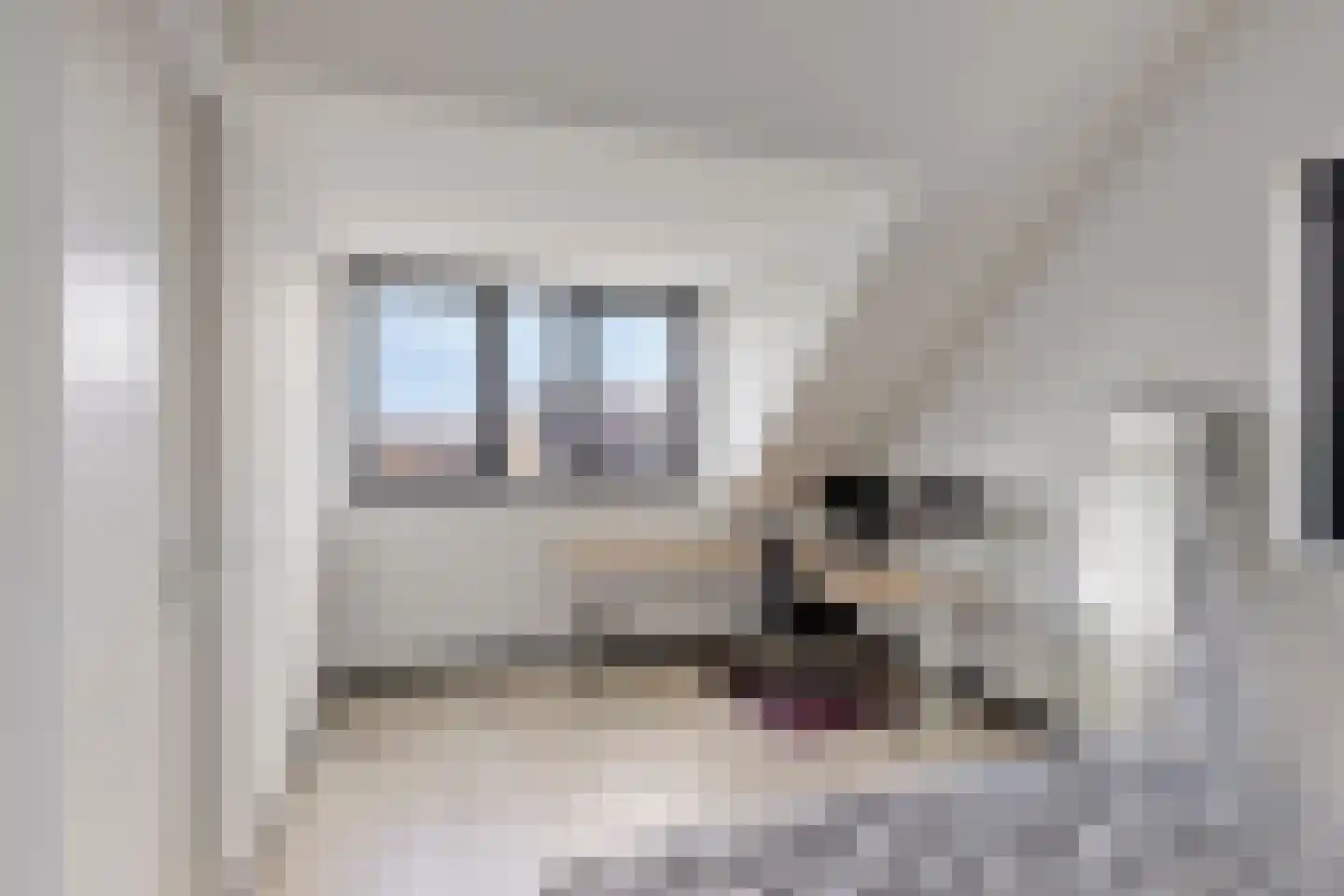 Goudreinette 11 Lith thumbnail 31