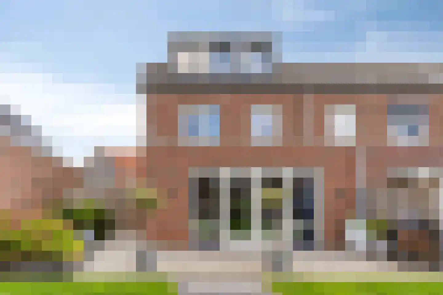 Goudreinette 11 Lith thumbnail 37