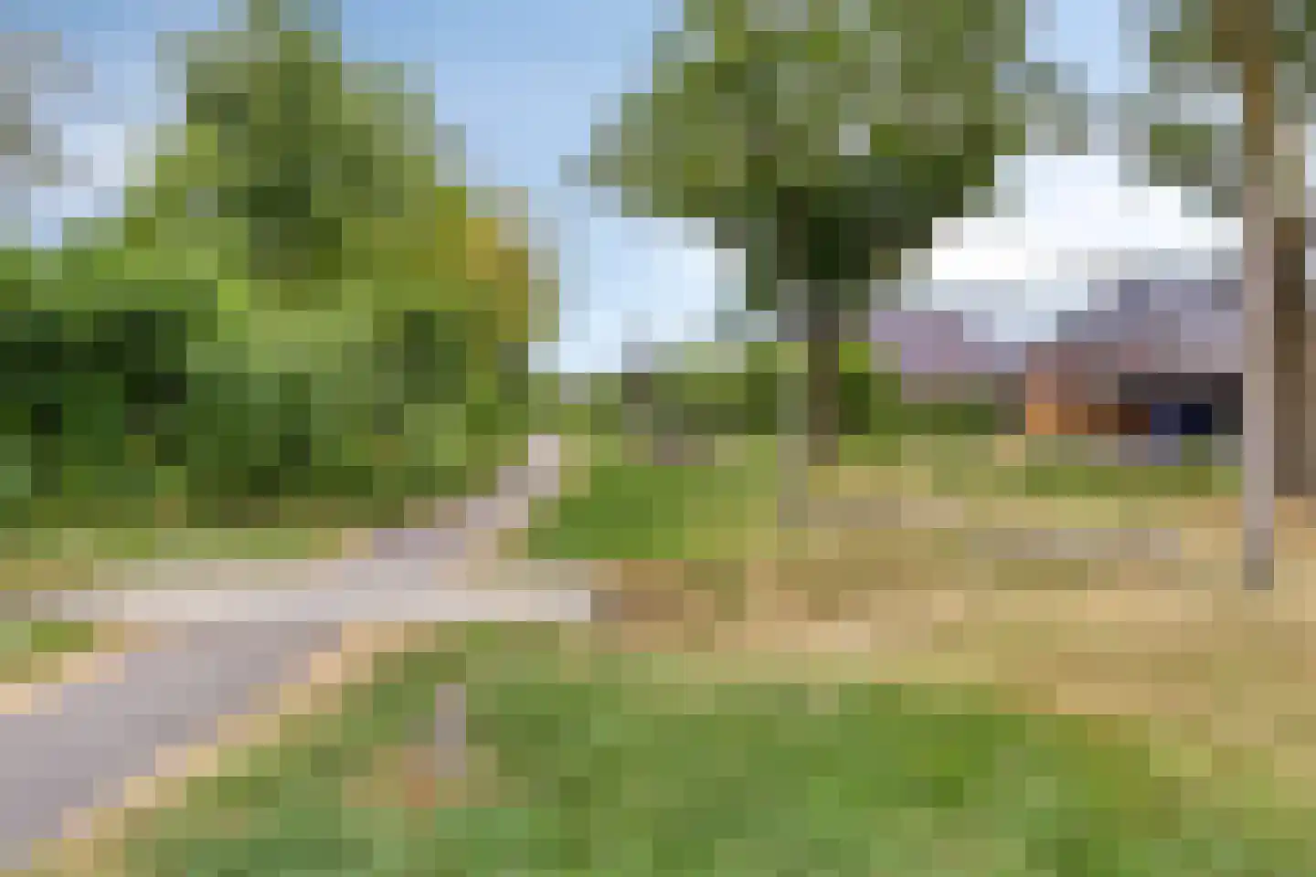 Goudreinette 11 Lith thumbnail 40