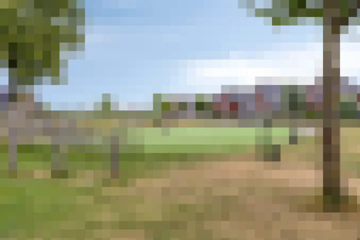 Goudreinette 11 Lith thumbnail 41
