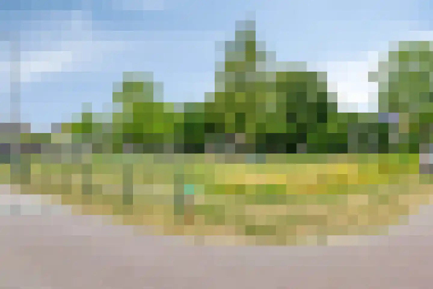 Goudreinette 11 Lith thumbnail 42