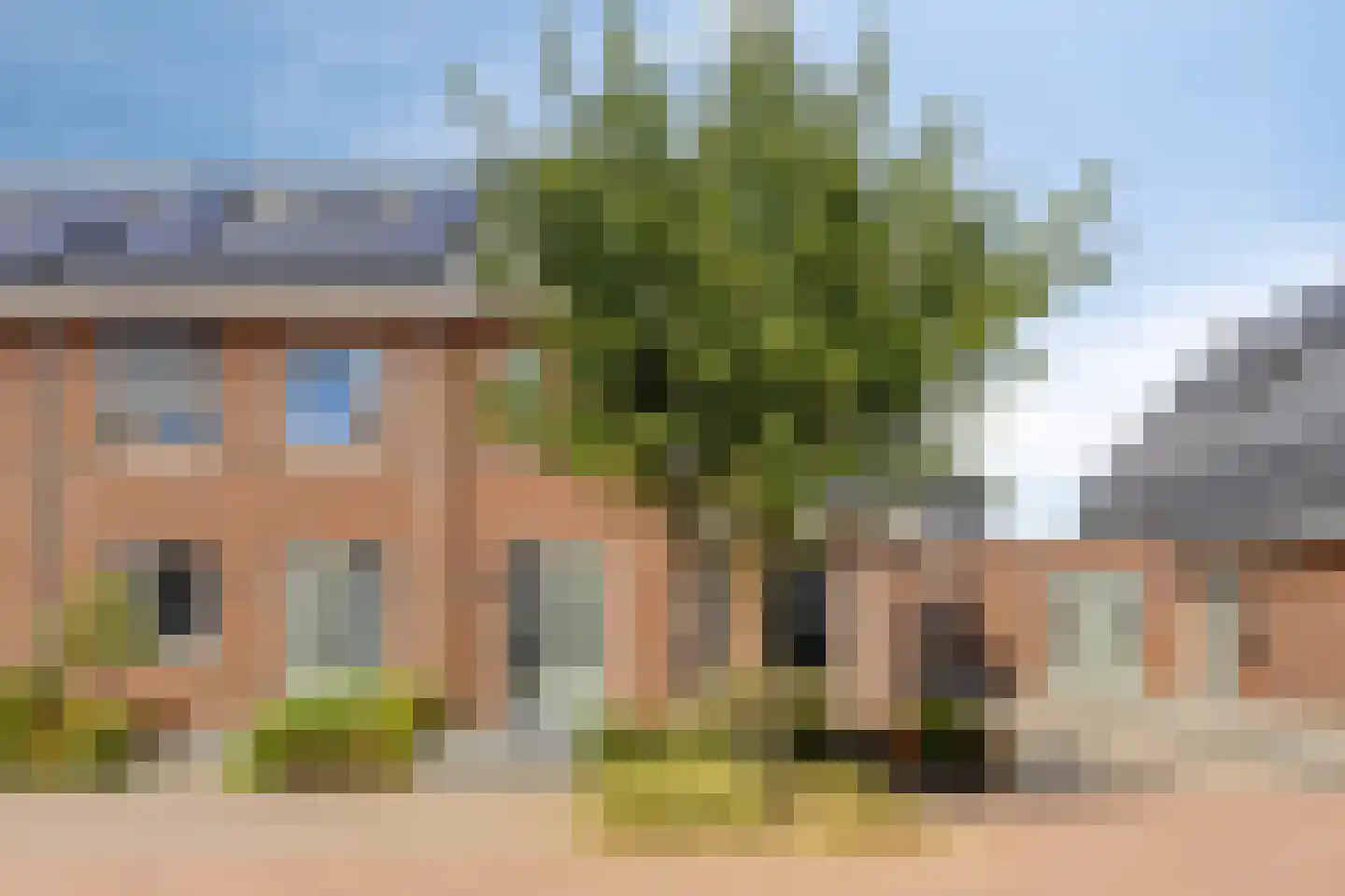 Goudreinette 11 Lith thumbnail 5