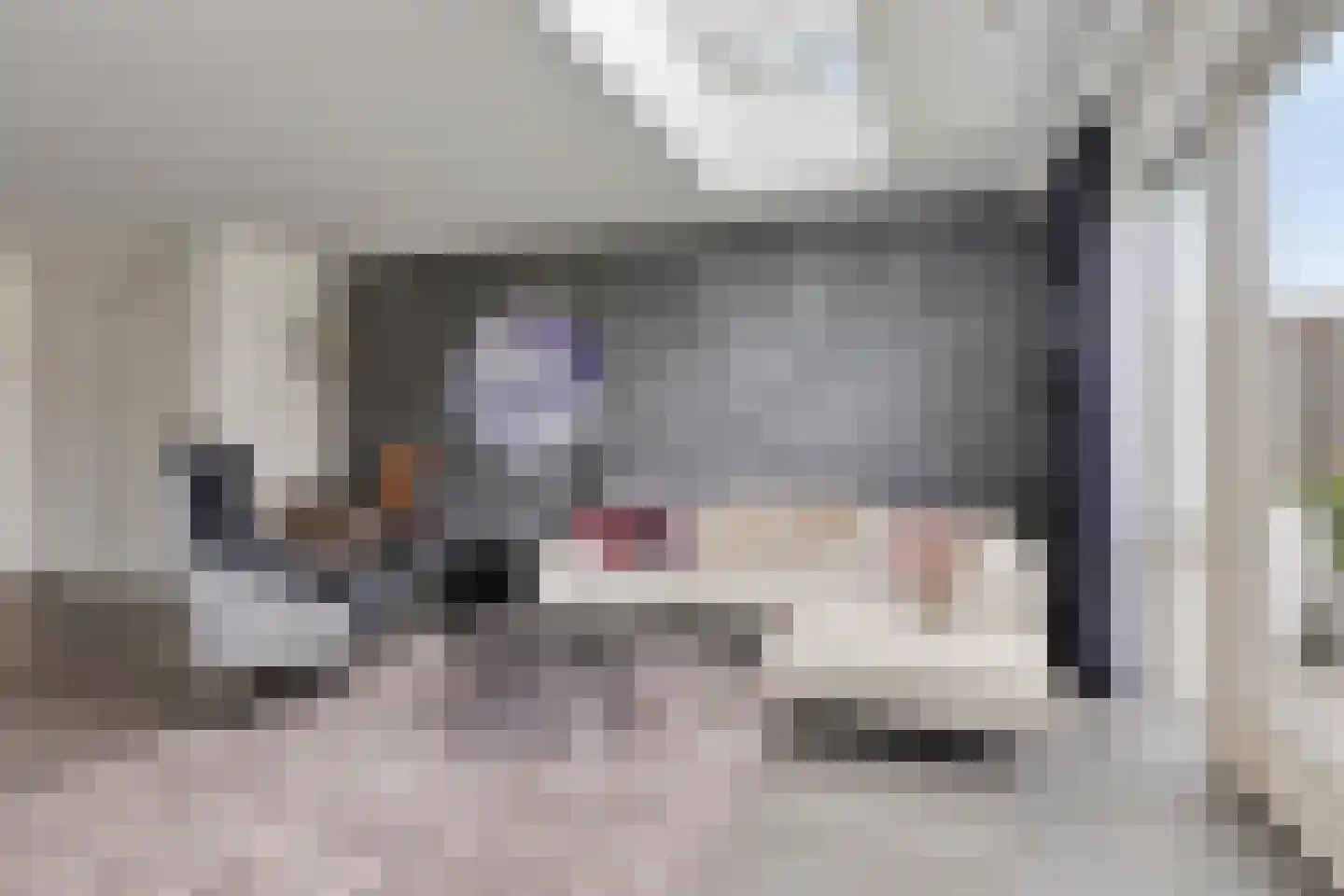 Goudreinette 11 Lith thumbnail 8