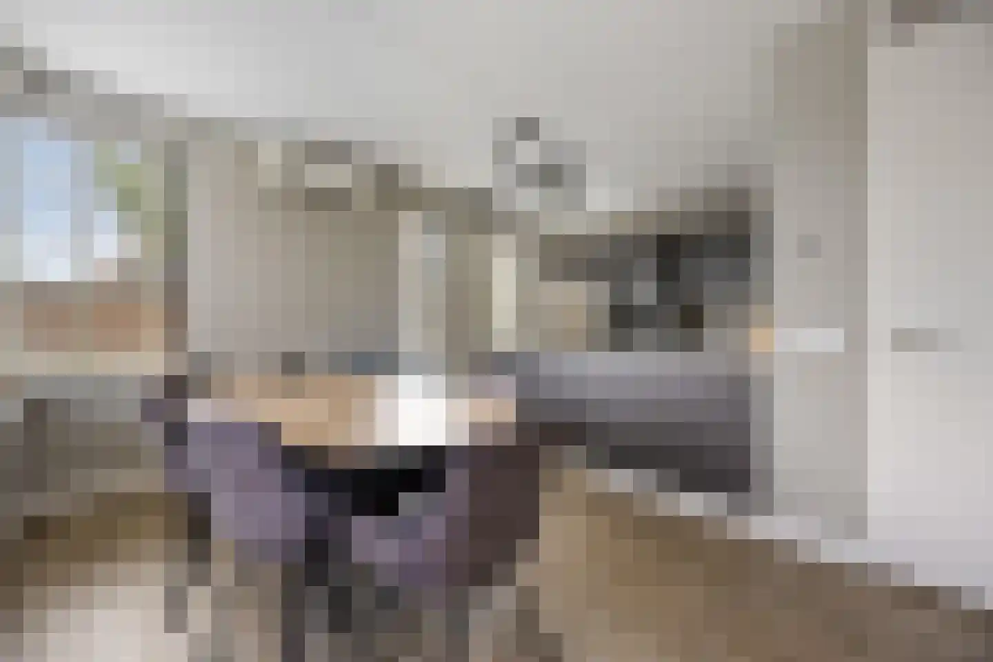 Goudreinette 13 Lith thumbnail 12