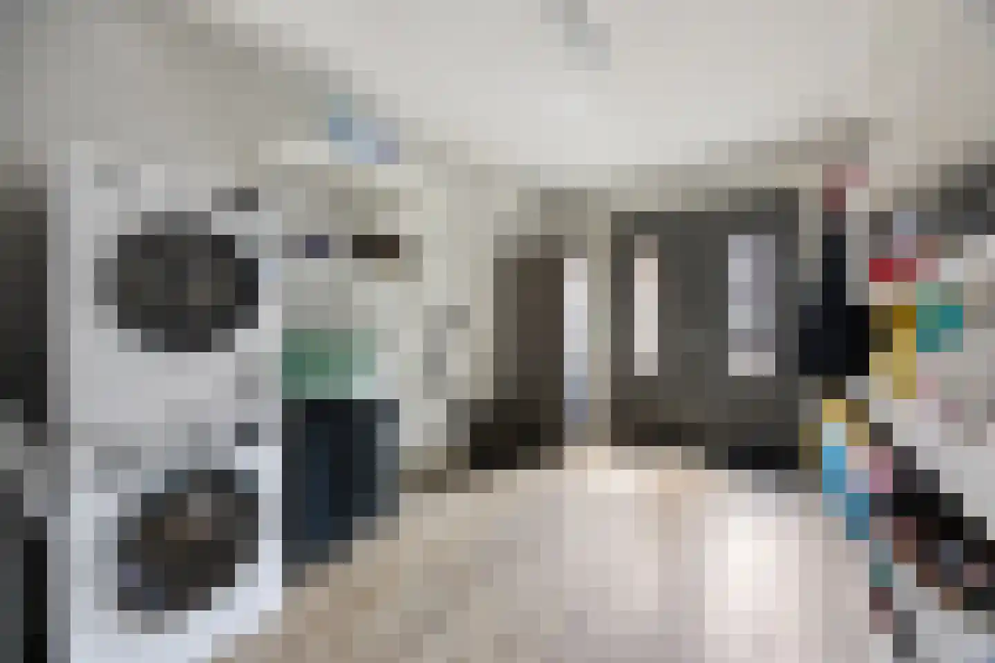 Goudreinette 13 Lith thumbnail 17